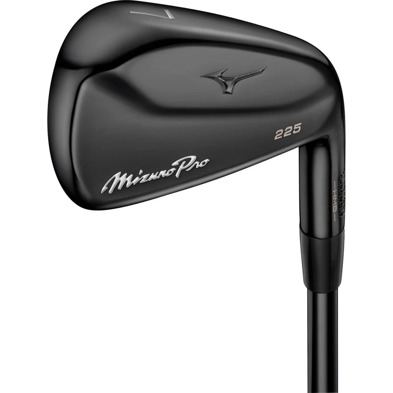 Mizuno Pro 225 Black Limited Edition Eisensatz 1 Mizuno Pro 225 Black Limited Edition Eisensatz