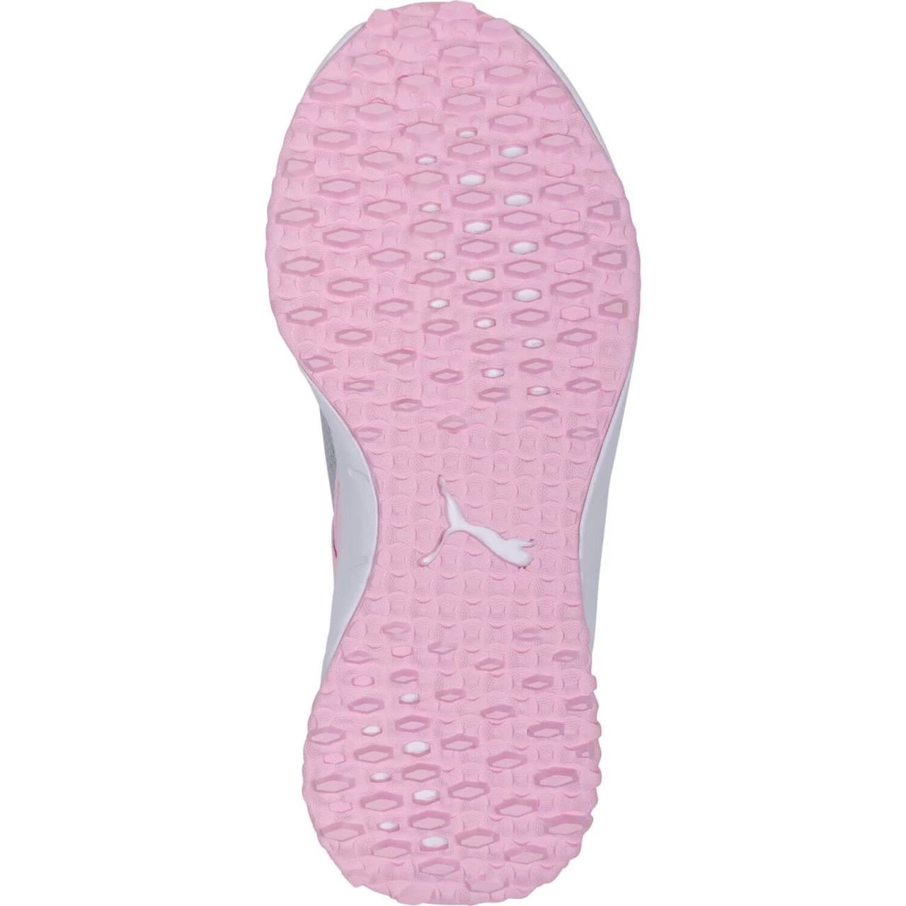 Puma Golfschuhe Fusion EVO, Grau/pink 5 Puma Golfschuhe Fusion EVO, Grau/pink – Bild 5